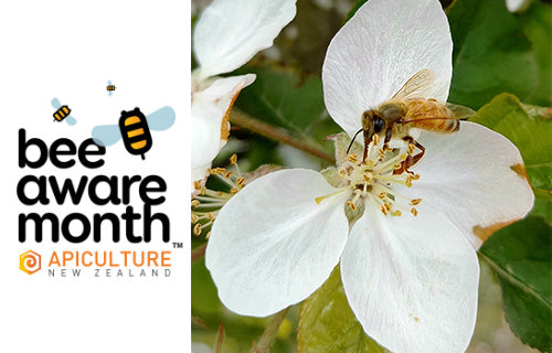 Bee Aware Month - Feed the Bees