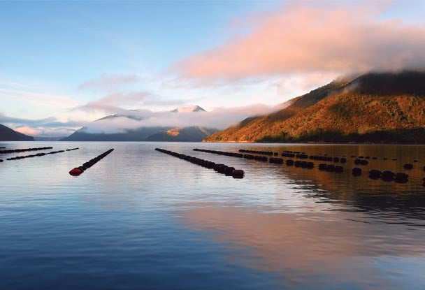 Marlborough Sounds