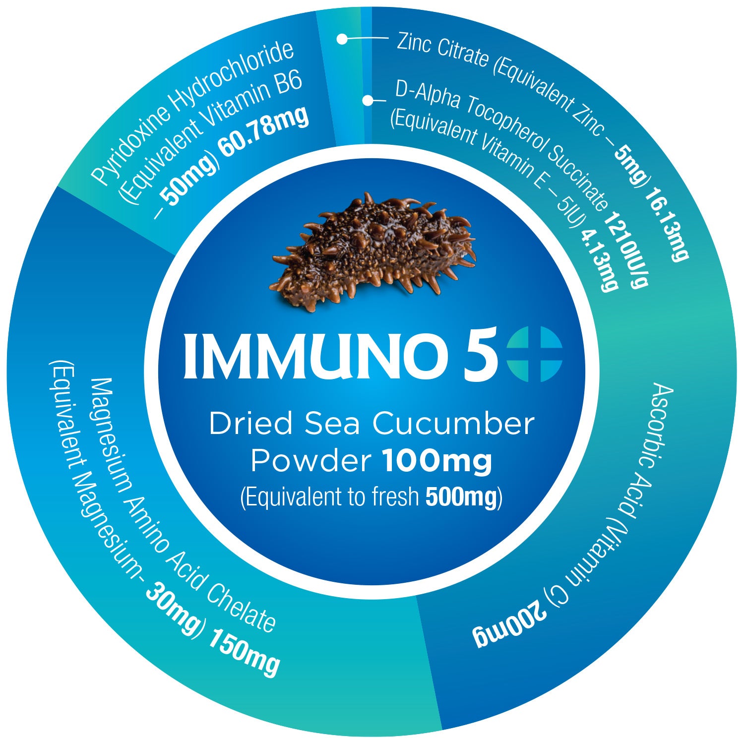 The Immuno 5+ Sea Cucumber circular infographic, centered on a dried sea cucumber known for triterpenoids, showcases immunity. Surrounding sections list ingredients: Pyridoxine Hydrochloride, Magnesium Amino Acid Chelate, Zinc Citrate, D-Alpha Tocopherol, and Ascorbic Acid along with their doses.