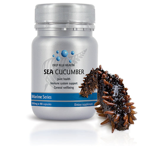 A gray bottle labeled Sea Cucumber with blue accents offers joint health and immune support using Chondroitin Sulphate for enhanced wellbeing, positioned next to a spiky brown sea cucumber.