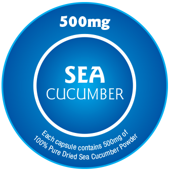 A blue circular label displays 500mg at the top and SEA CUCUMBER in the center. The bottom text states: Each capsule contains 500mg of 100% Pure Dried Sea Cucumber, rich in Chondroitin Sulphate and Triterpenoids.