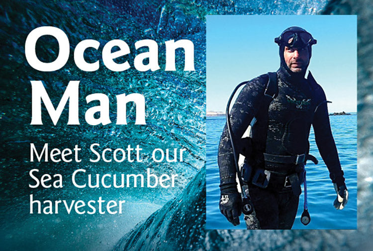 NZ diver Scott Perkins harvesting sea cucumbers sustainably in New Zealand Pacific waters