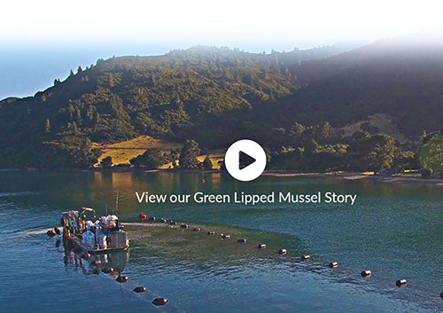 Green Lipped Mussel Story - making a joint health supplement
