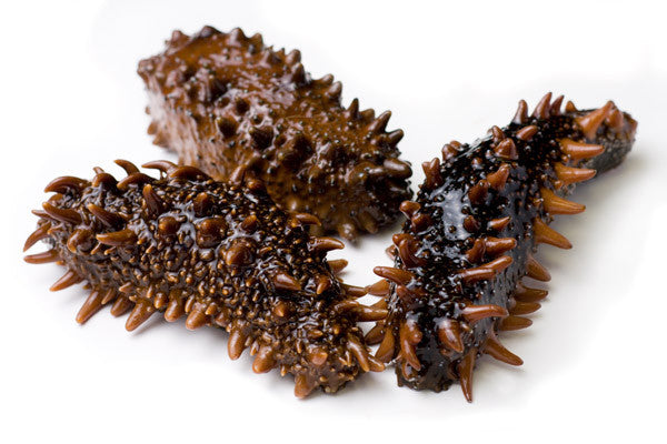 Sea Cucumber - Animal, Mineral or Vegetable?