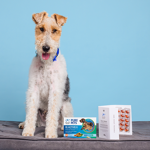 dog supplement