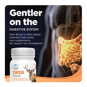 Deer Blood — gentler on digestion than regular iron tablets