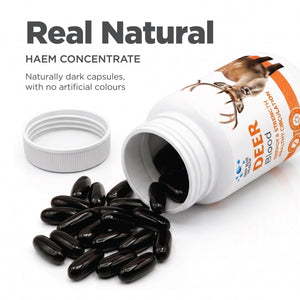 Deer Blood — naturally dark haem-rich capsules, no artificial colours