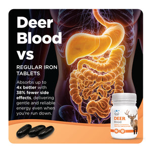 Deer Blood — 4x better absorption, 38% fewer side effects vs iron tablets
