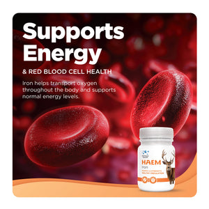 Haem Iron — absorbs 2-4x better than ferrous sulfate iron tablets