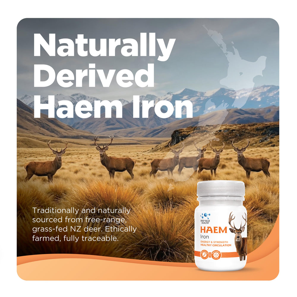 Haem Iron bottle — 90 x 1000mg capsules, supplement facts panel