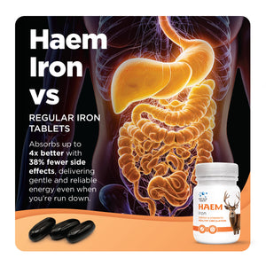 Haem Iron vs regular iron tablets — 4x better absorption, gentler on stomach