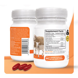 Sheep Placenta listing graphic — tile 06