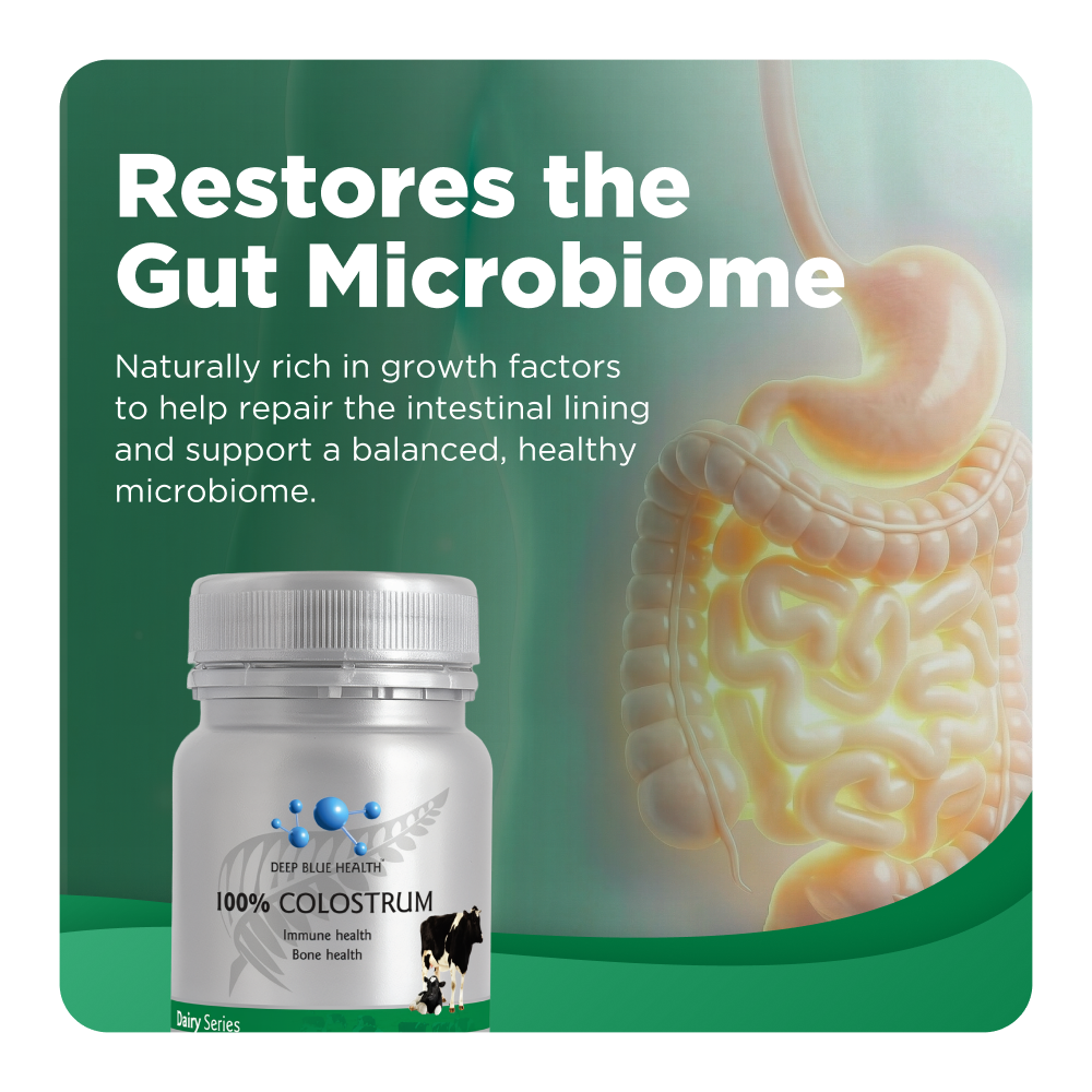 Restores the Gut Microbiome