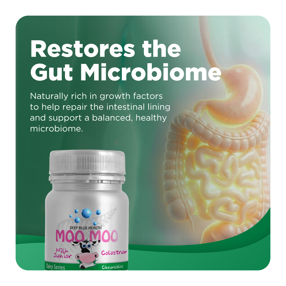 Restores the Gut Microbiome