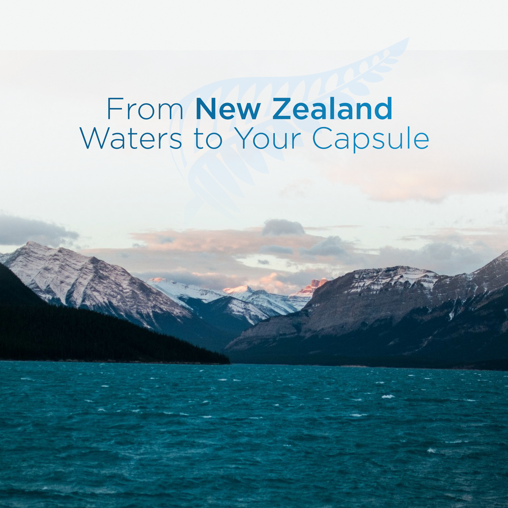 Marine Collagen – How It's Made