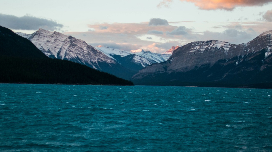 New Zealand Ocean Sourcing