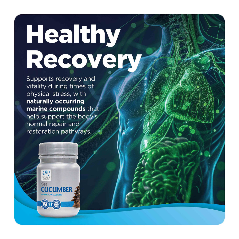 Sea Cucumber healthy recovery product tile