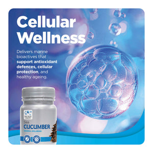 Sea Cucumber cellular wellness product tile
