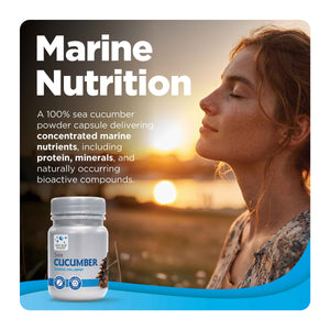 Sea Cucumber marine nutrition product tile