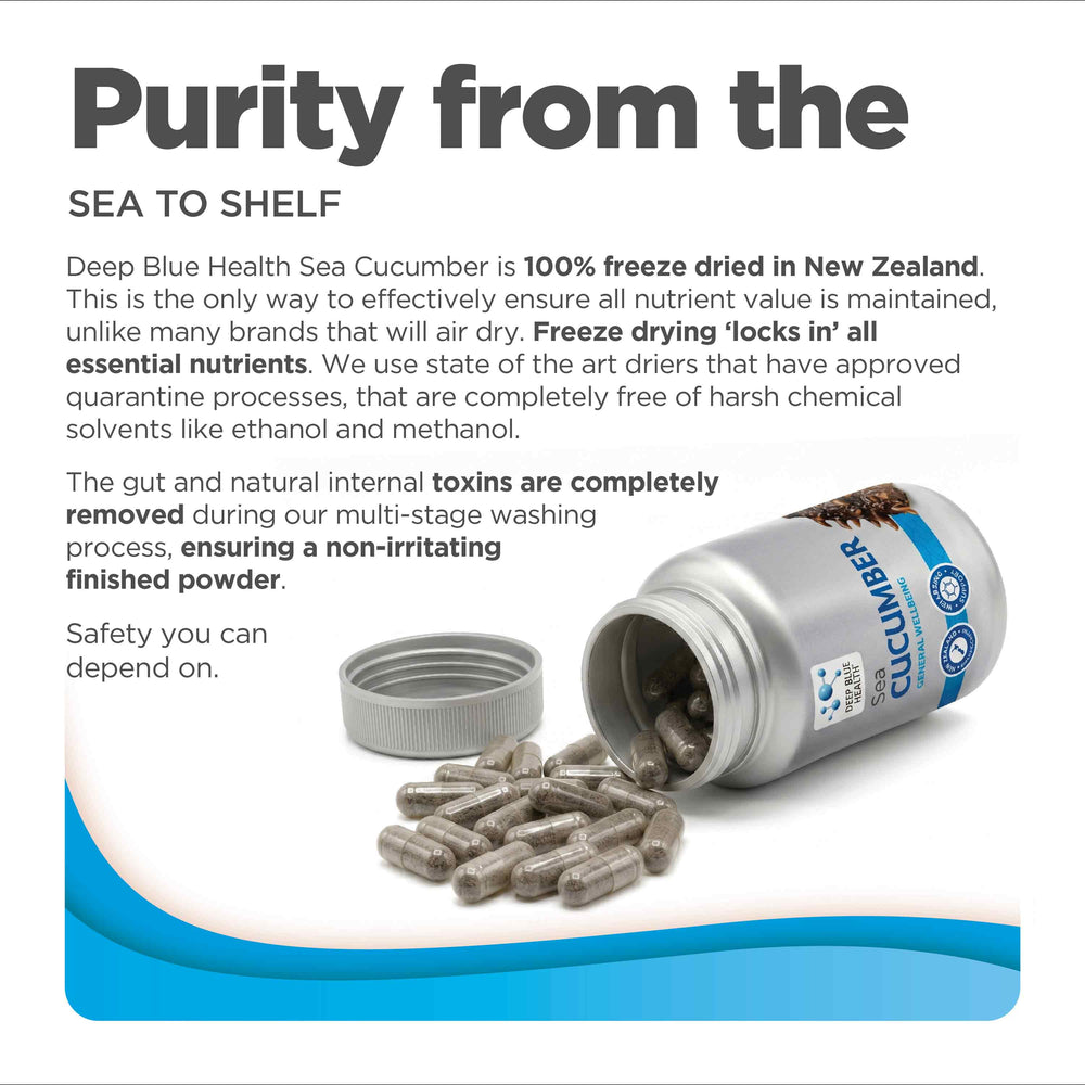 Sea Cucumber purity from sea to shelf product tile