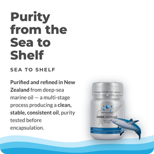 shark-squalene-tile-10