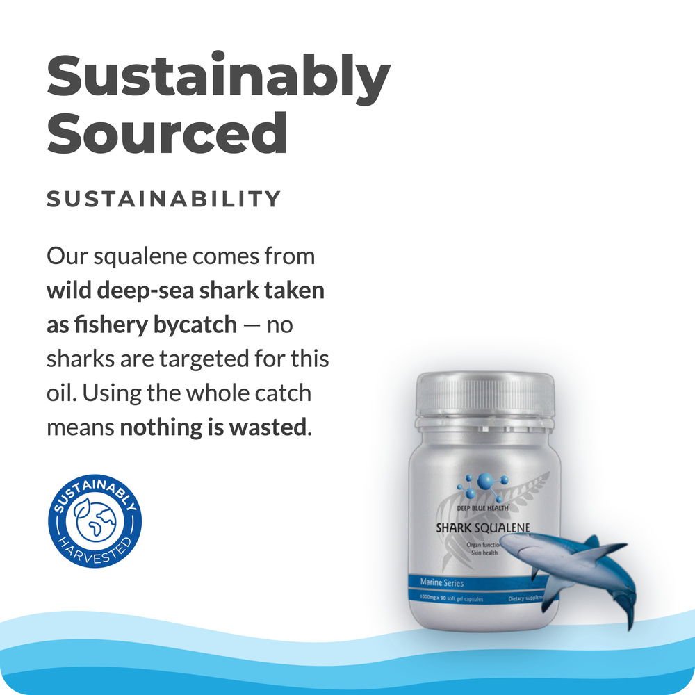 shark-squalene-tile-11