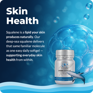 shark-squalene-tile-3