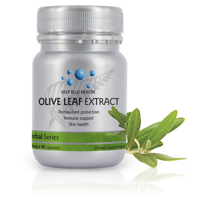 OLIVE LEAF 24000
