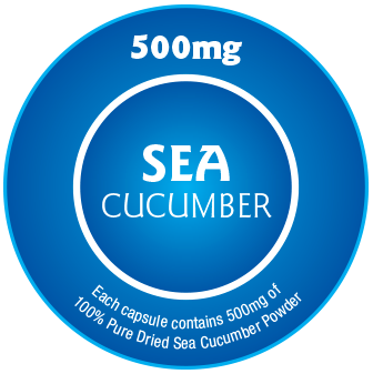 SEA CUCUMBER - BUY 5 GET 1 FREE