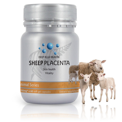 Sheep Placenta